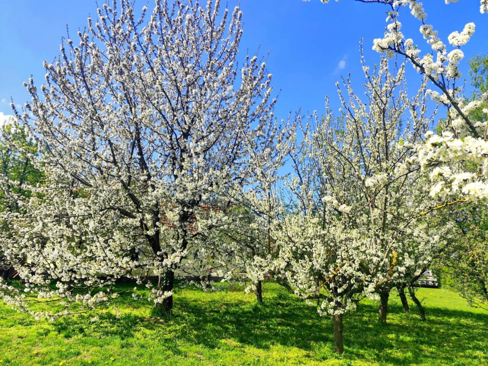 Penzion Arkadia Kyselica Bagian luar foto
