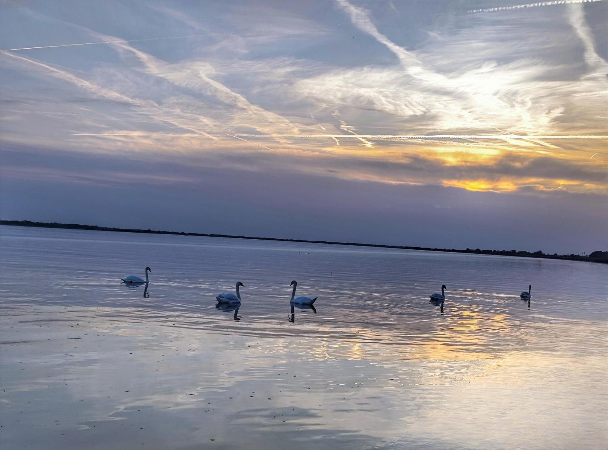 Penzion Arkadia Kyselica Bagian luar foto